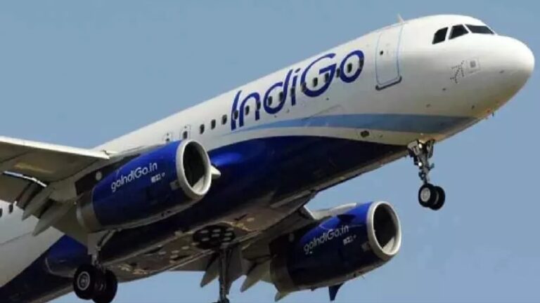 Drunk Passenger Molests Air Hostess on Delhi-Shirdi Flight, Held After Landing