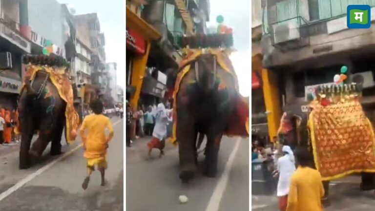 अहमदाबाद रथ यात्रा में हाथियों का बेकाबू होना बना अफरातफरी का कारण, कई लोग घायल, भीड़ और तेज आवाज से हाथी बेकाबू